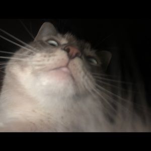 Meet your Posher, Mike